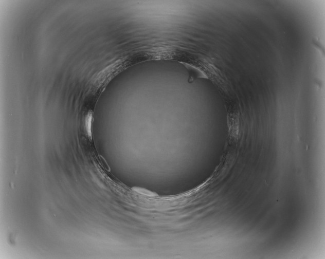 X0000103250047200808281513