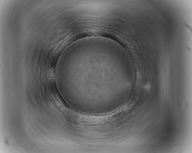 X0000103250048200808281513