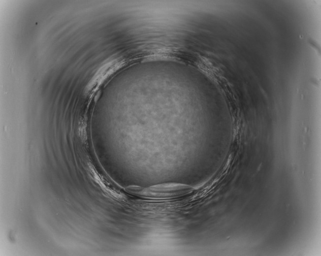 X0000103250050200808281512