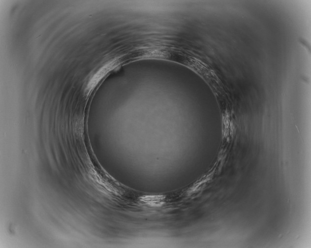 X0000103250051200808281512