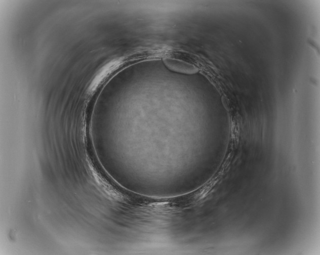 X0000103250054200808281512