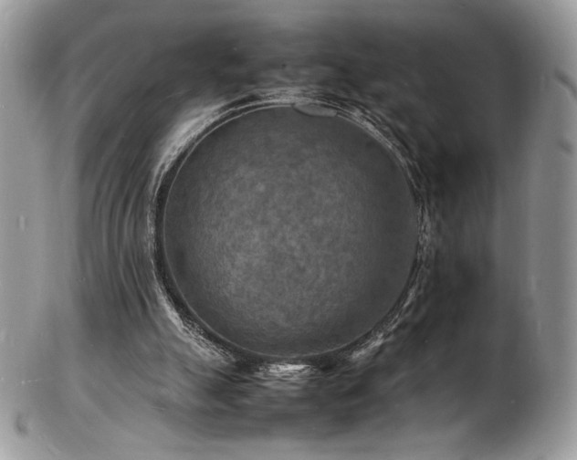 X0000103250055200808281513