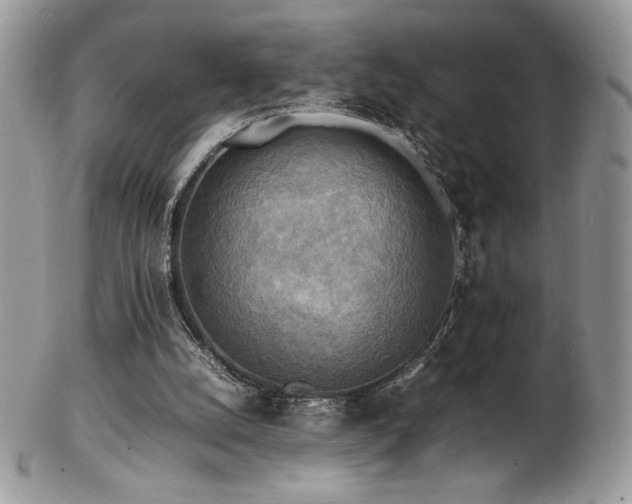 X0000103250056200808281513