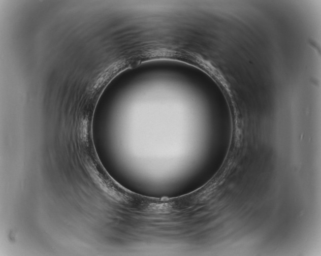 X0000103250057200808281513