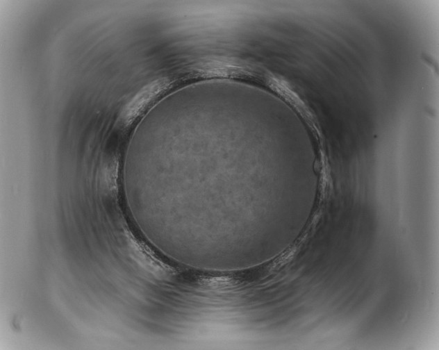 X0000103250058200808281513
