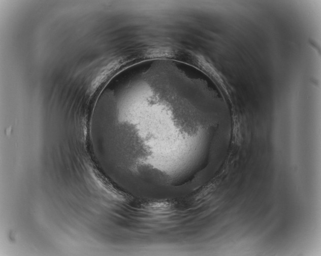 X0000103250059200808281513