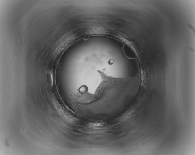 X0000103250061200808281513