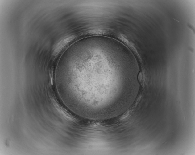 X0000103250062200808281513