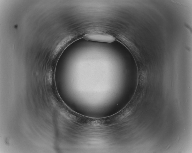 X0000103250064200808281513