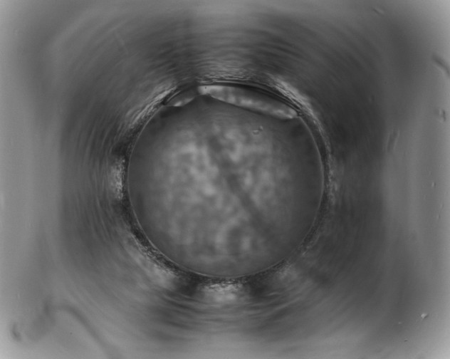 X0000103250065200808281513