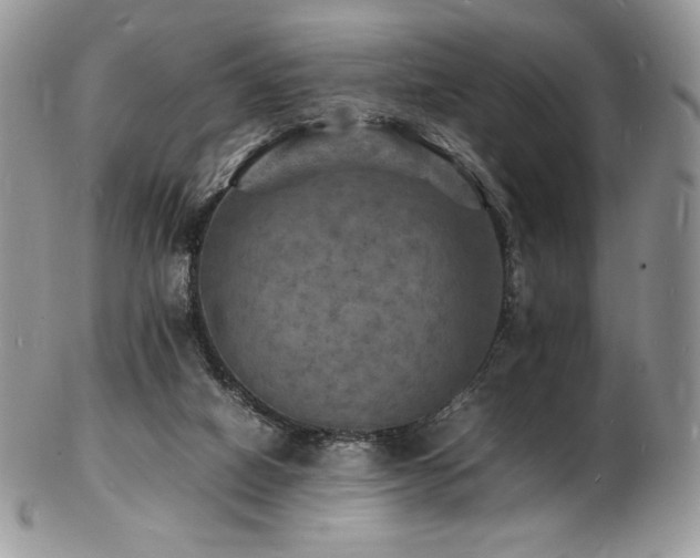 X0000103250066200808281513