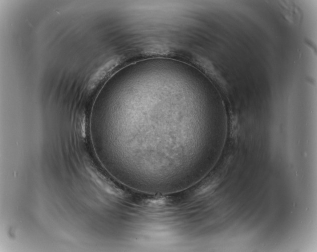 X0000103250068200808281513