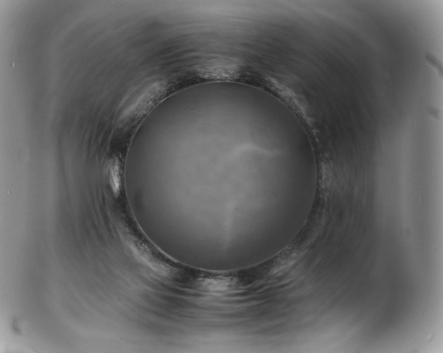 X0000103250069200808281513