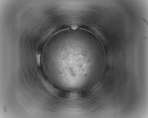X0000103250070200808281513