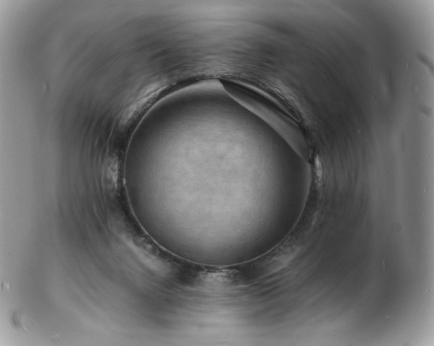 X0000103250072200808281513