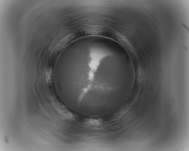 X0000103250073200808281513