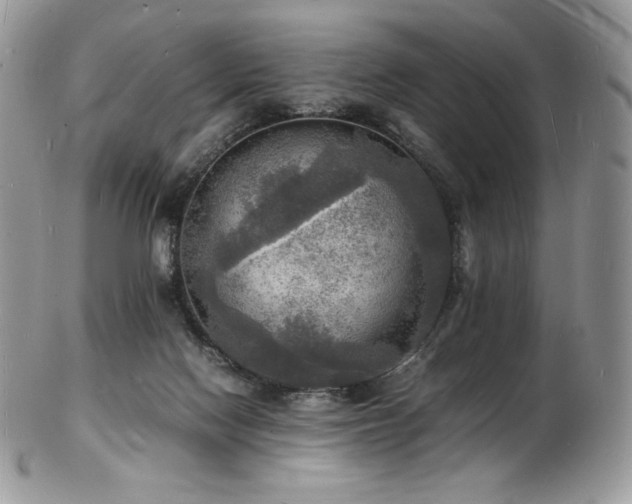 X0000103250074200808281513