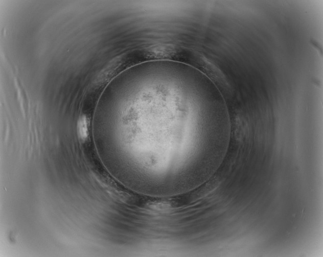 X0000103250075200808281513