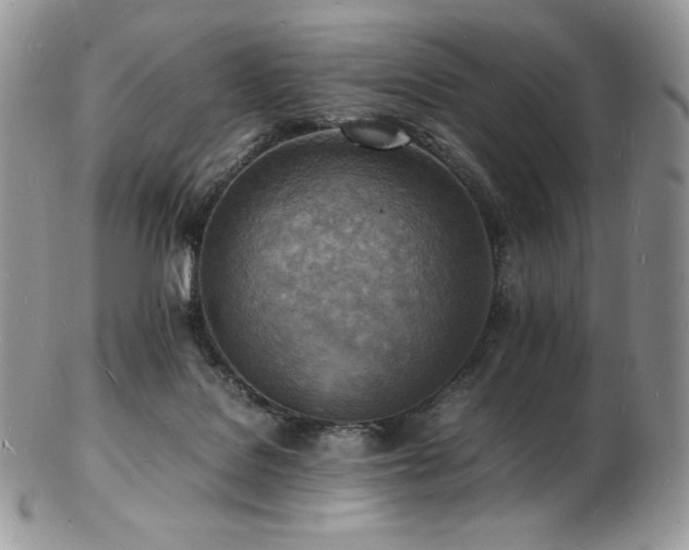 X0000103250076200808281513