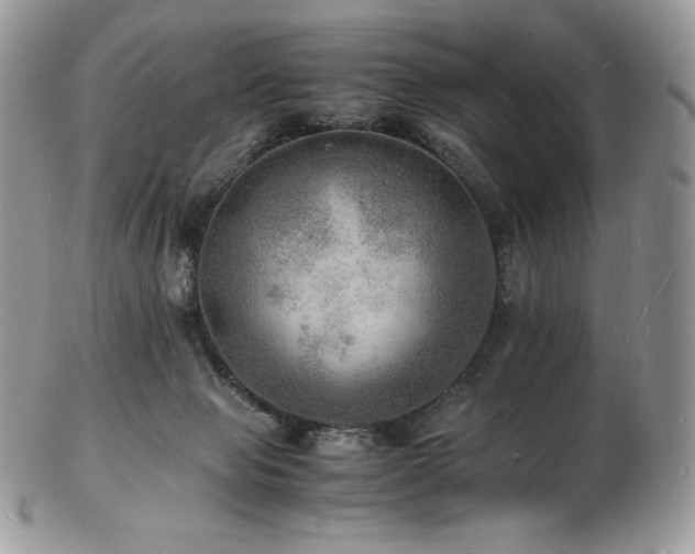 X0000103250077200808281513