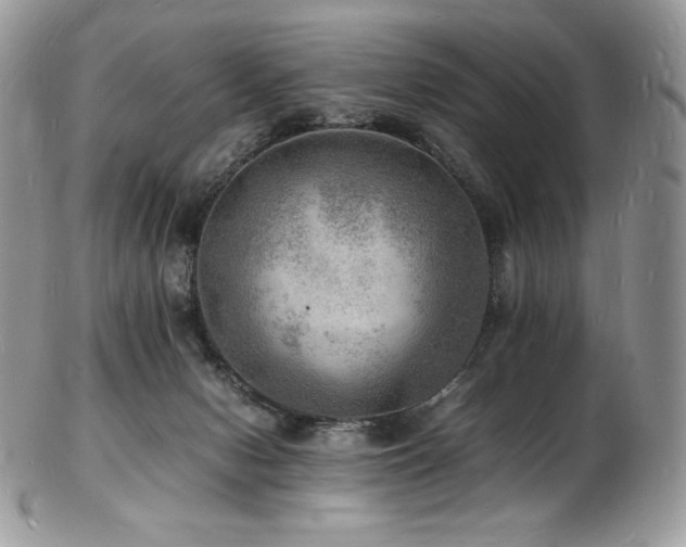 X0000103250078200808281513