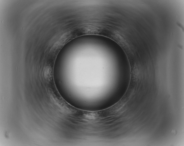 X0000103250079200808281513