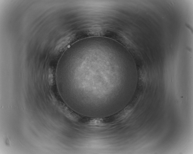 X0000103250080200808281513