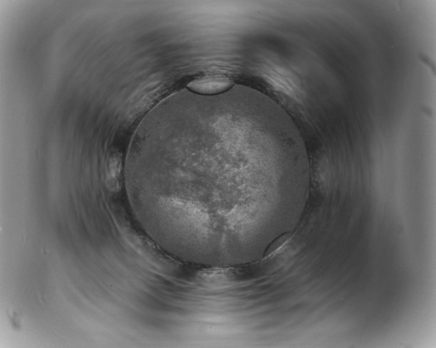 X0000103250082200808281513
