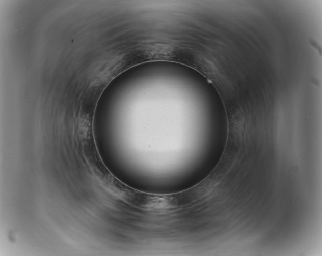 X0000103250083200808281513
