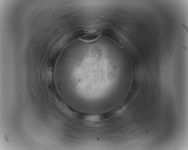 X0000103250085200808281513