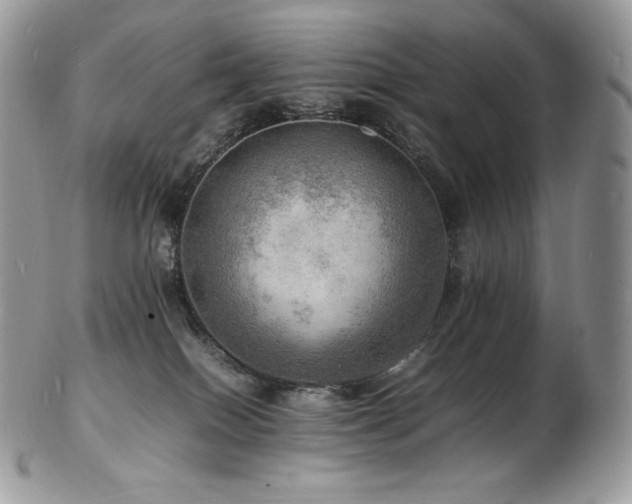 X0000103250086200808281513