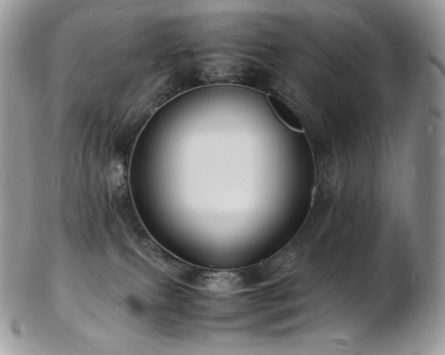 X0000103250087200808281513