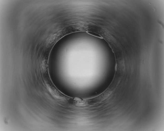 X0000103250088200808281513