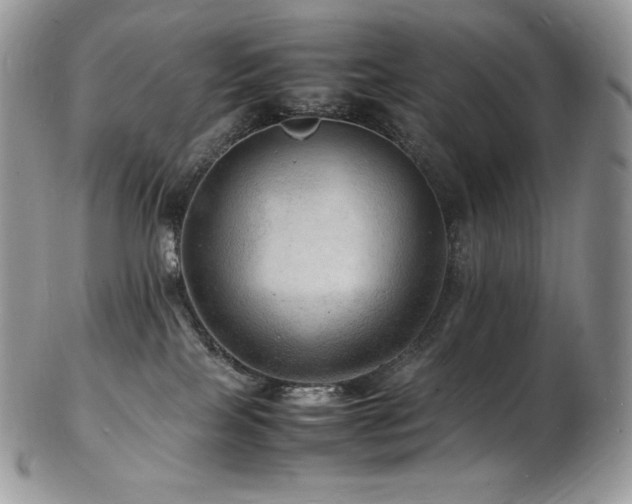 X0000103250089200808281513