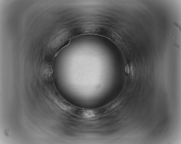 X0000103250091200808281513