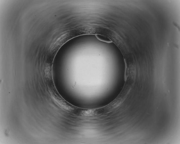 X0000103250092200808281513