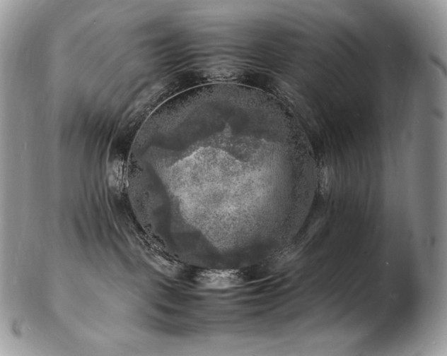 X0000103250093200808281513