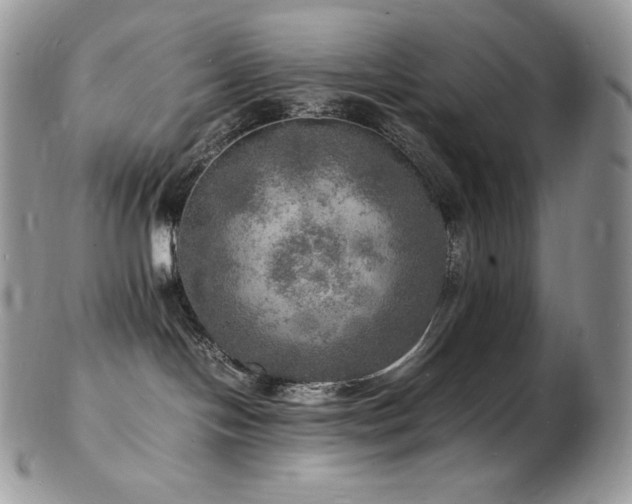 X0000103250094200808281513