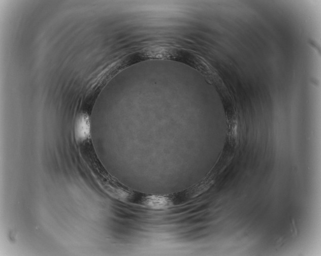 X0000103250095200808281513