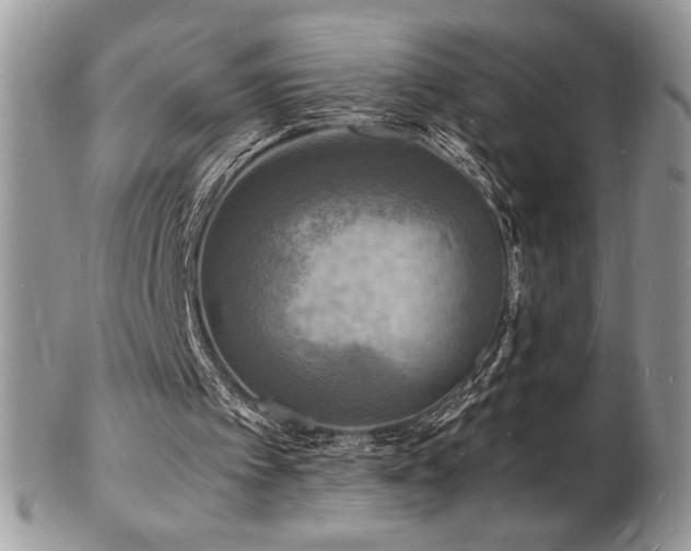X0000103250097200808281512