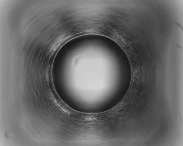 X0000103250098200808281512