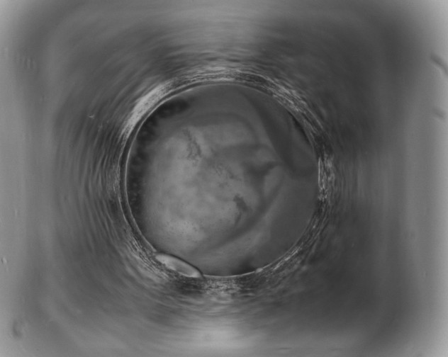 X0000103250099200808281512