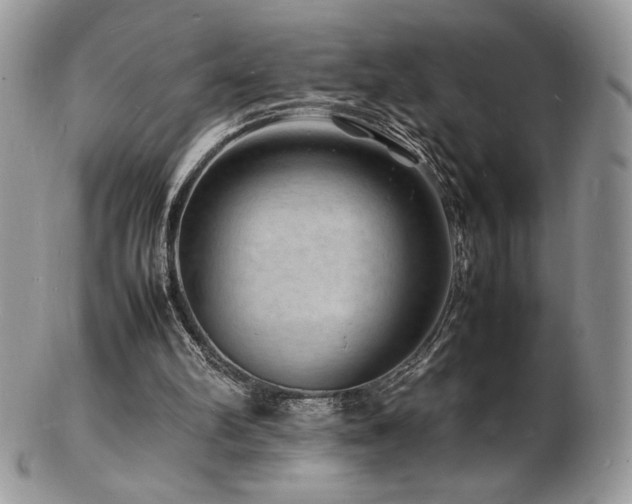 X0000103250102200808281512