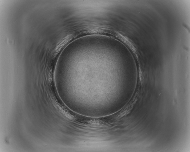 X0000103250105200808281512