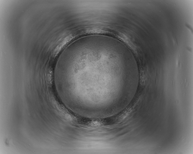 X0000103250111200808281512