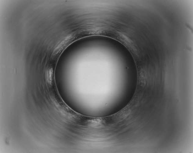 X0000103250118200808281512
