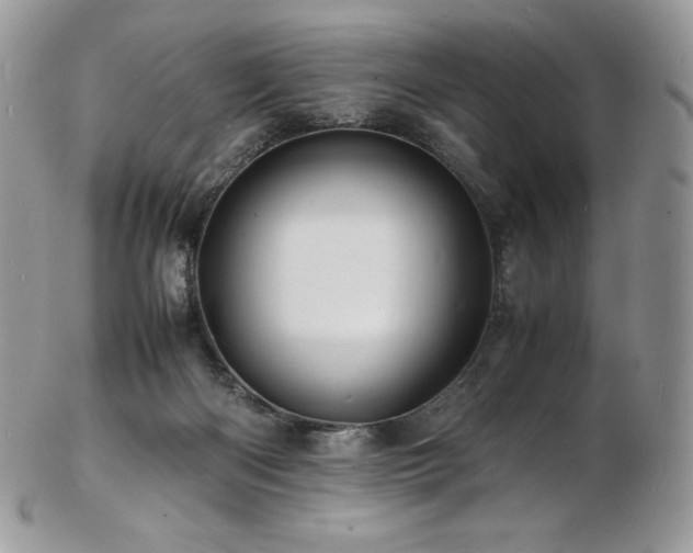 X0000103250122200808281512