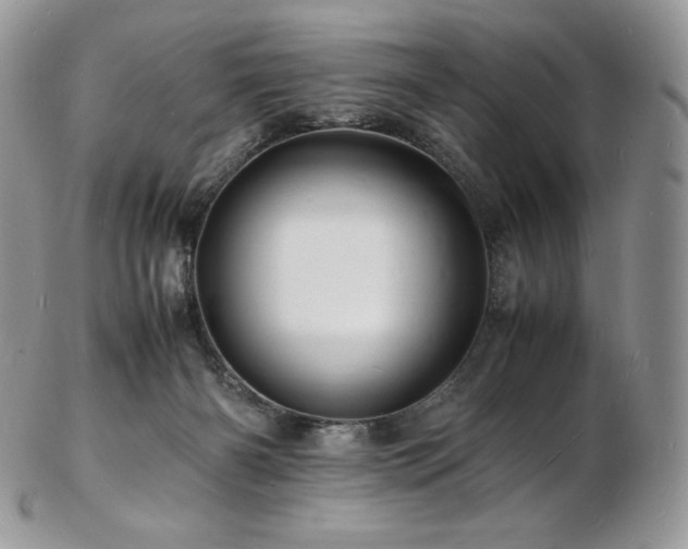 X0000103250126200808281512