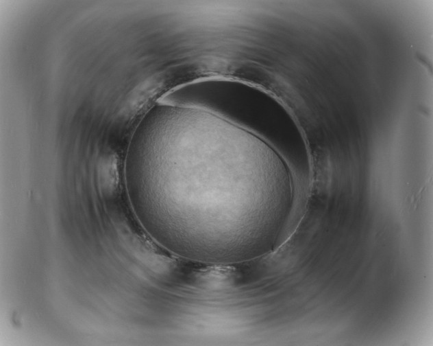 X0000103250128200808281512