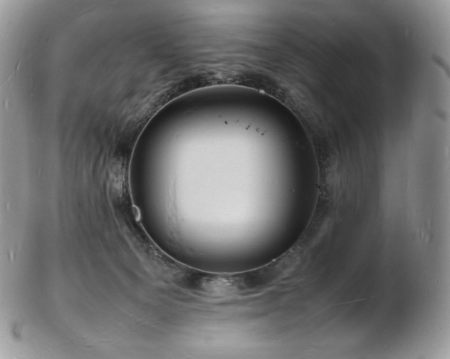 X0000103250129200808281512